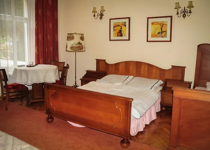 Willa Elysium Lądek-Zdrój